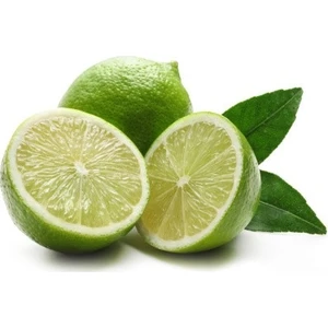 Serdar Çam Tohumculuk Nadir Lime Misket Limon Tohumu 3'ü