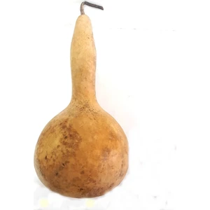 Bahçe Life Kuş Evi Su Kabağı Tohumu 5'li