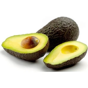 Fidan Sahası Aşılı Tüplü Hass Black Avokado 2 Yaş Boy 80 - 100 cm