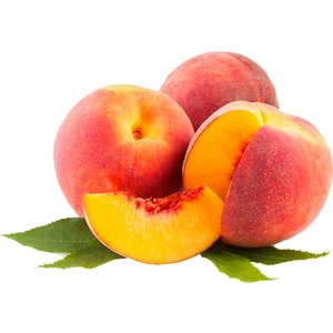 Fidan Sahası Tüplü Az Tüylü İri Şeftali Fidanı