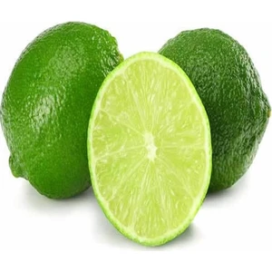 Fidan Sahası Tüplü Bodur Lime Misket Limon 2 Yaş Boy 70 - 80 cm