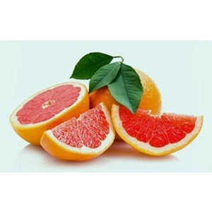 Fidan Sahası Tüplü Rio Red Greyfurt Fidanı 2 Yaş Boy 90 - 110 cm