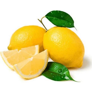 Fidan Sahası Tüplü Yediveren Limon Fidanı 2 Yaş Boy 90 - 110 cm