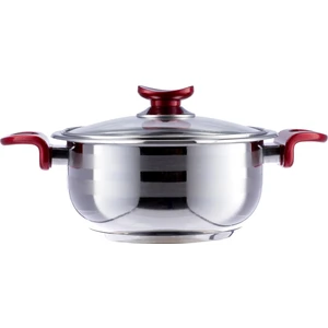 Cam Kapaklı Çelik Tencere - 20 cm