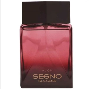 Segno Success Erkek Edp Parfüm