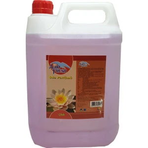 Aırofresh Alkolsuz Oda Parfümü 5 l Çilek