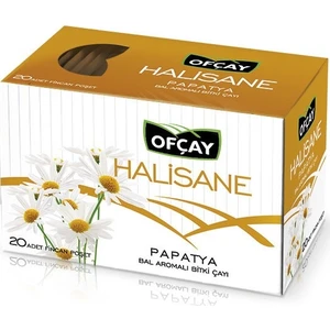 Halisane Papatya Çayı