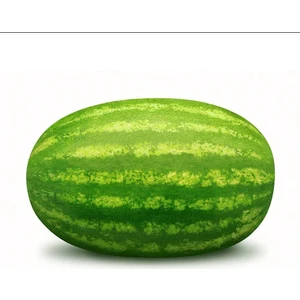 Serdar Çam Tohumculuk Diyarbakır Karpuzu Tohumu Eko Paket 50'li