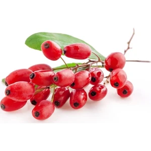 Serdar Çam Tohumculuk Ithal Goji Berry Tohumu Gojiberry Eko Paket 100'LÜ