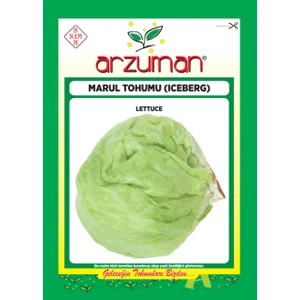 Sebze Iceberg Marul Tohum 5 gr