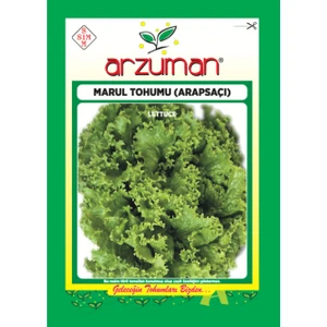 Sebze Kıvırcık Marul Tohum Arapsaçı 10 gr
