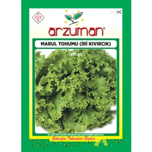 Sebze Yazlık Kıvırcık Marul Tohum 10 gr