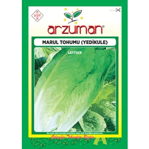 Sebze Yedikule Marul Tohum 10 gr