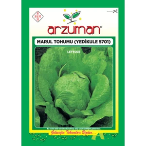 Sebze Yedikule Marul Tohum 10 gr