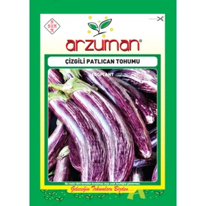 Patlıcan Sebze Tohum Çizgili 5 gr