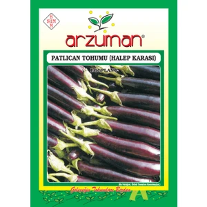 Sebze Patlıcan Tohum Halep Arkası 10 gr