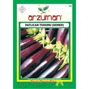 Sebze Patlıcan Tohum Kemer 25 gr