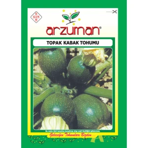 Sebze Topak Kabak Tohum 10 gr