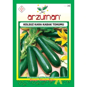 Sebze Kolsuz Kara Kabak Tohum 10 gr