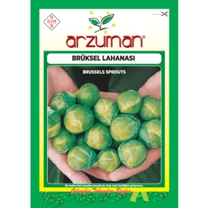 Sebze Brüksel Lahana Tohum 10 gr