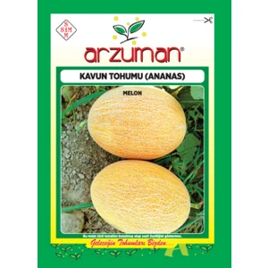 Meyve Kavun Tohum Ananas Tipi 10 gr