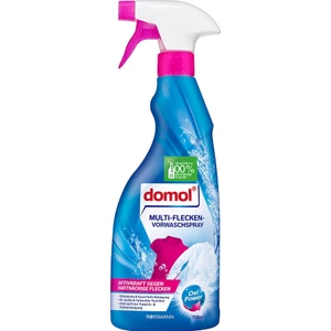 Leke Çıkarıcı Sprey Yıkama Öncesi Oxi Güç 750 ml