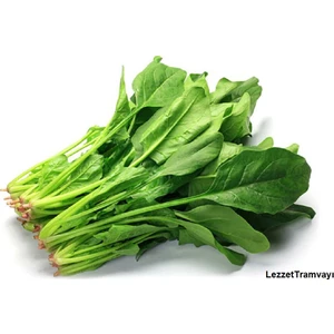 Ege Tarım Ithal Ispanak Tohumu  50 gr