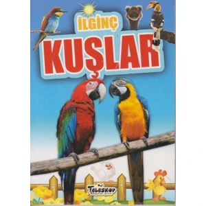 İlginç Kuşlar - M.Cüneyt Özcan
