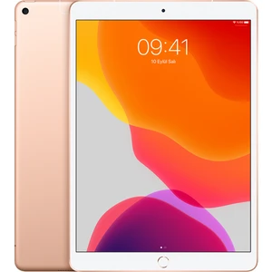 iPad Air 3 64GB 10.5" Wi-Fi+ Cellular Retina  Tablet - Altın MV0F2TU/A