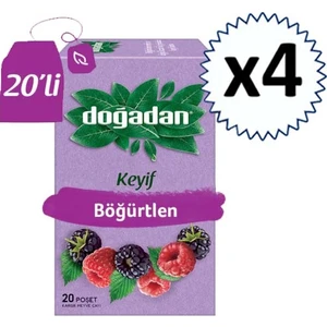 Meyve Çayı Böğürtlen 20'li x  4