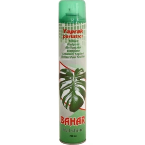 Çiçek Yaprak Parlatıcısı 750 ml