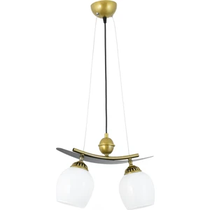 Ikili Modern Tarz Kayık Model Metal Camlı Sarkıt Avize