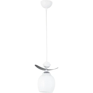 Tekli Modern Tarz Kayık Model Metal Camlı Sarkıt Avize