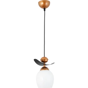 Tekli Modern Tarz Kayık Model Metal Camlı Sarkıt Avize