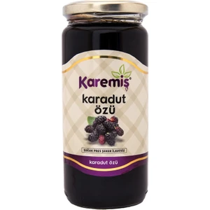 Karadut Özü 640 gr