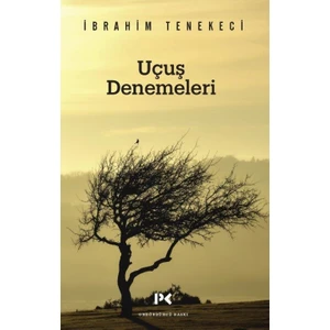 Uçuş Denemeleri - İbrahim Tenekeci