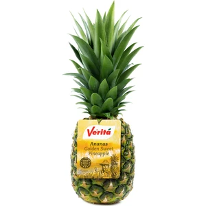 Gold Ananas