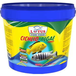 Cichlid Algae Balık Yemi Kova 3 kg