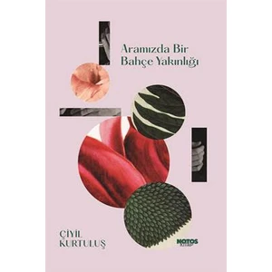 Aramızda Bir Bahçe Yakınlığı - Çiyil Kurtuluş