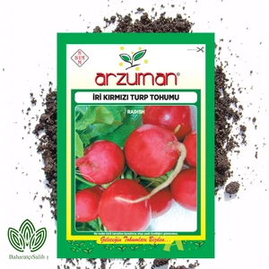 Iri Kırmızı Turp Tohumu 25 g