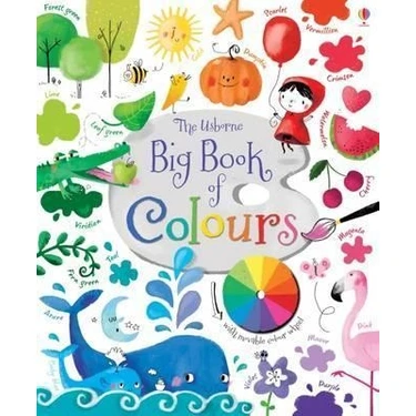 Big Book Of Colours - Felicity