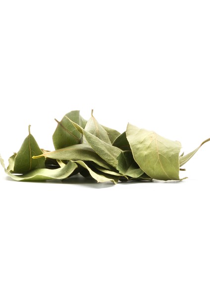 Defne Yaprağı 10 g Pet