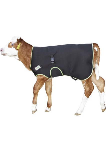 Buzağı Battaniyesi Premium 80 cm