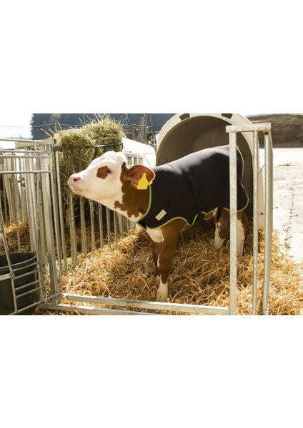 Buzağı Battaniyesi Premium 80 cm