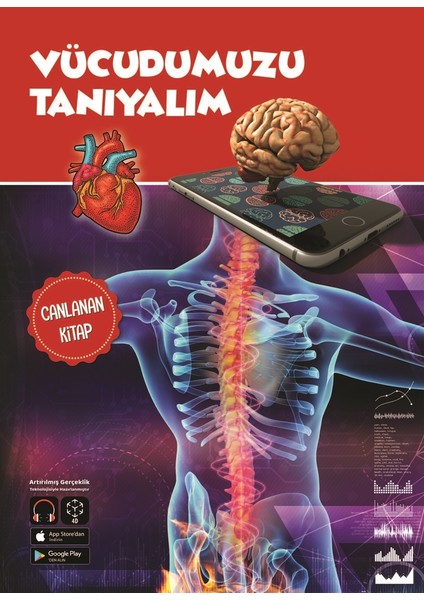 Vücudumuzu Tanıyalım