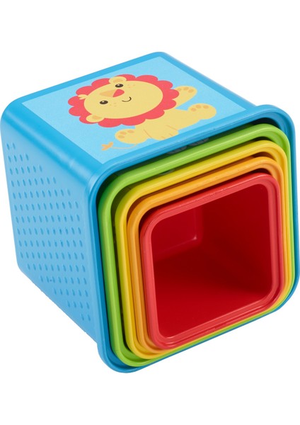 Fisher Price Eğlenceli Bloklar CDC52