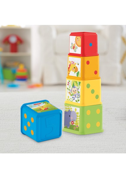 Fisher Price Eğlenceli Bloklar CDC52