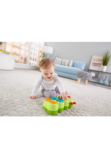 Fisher Price Eğlenceli Tırtıl GCM80 fiyatları