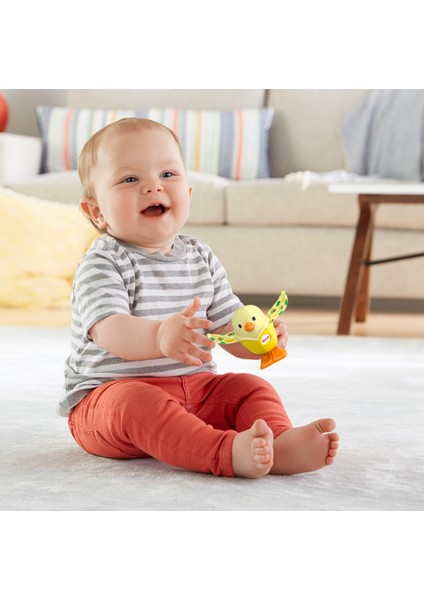 Fisher Price Sürprizli Oyuncaklar - Muz Kuş GLD06 fiyatları