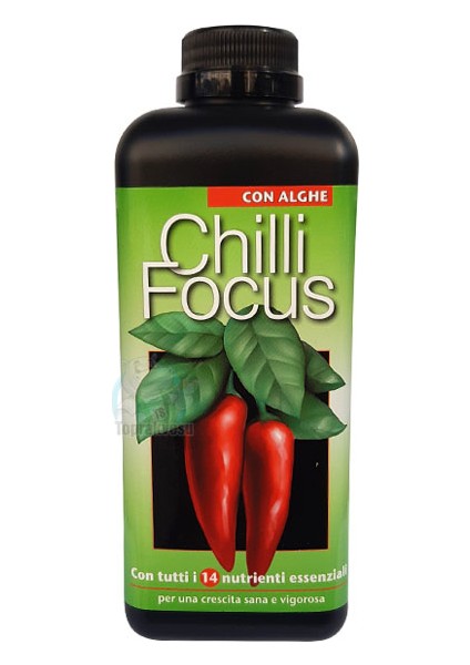 Chilli Focus Bitki Besin Desteği 1 lt